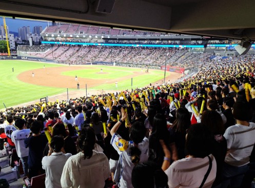 야구 응원 사진