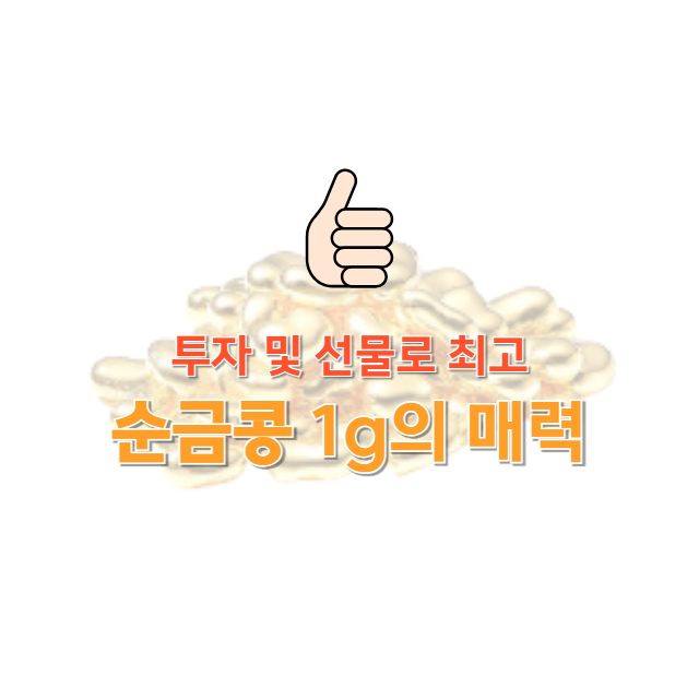 순금콩