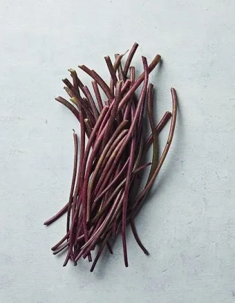 고구마줄기 효능 건강 활용 레시피_15