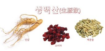 여름 보약 생맥산 효능 5가지와 쉽게 만드는 법