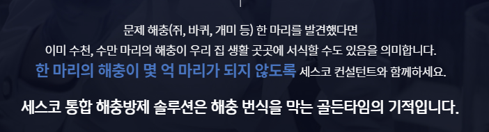 쥐 방역업체 비용 후기