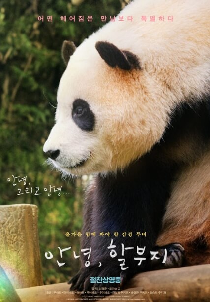 안녕할부지예매