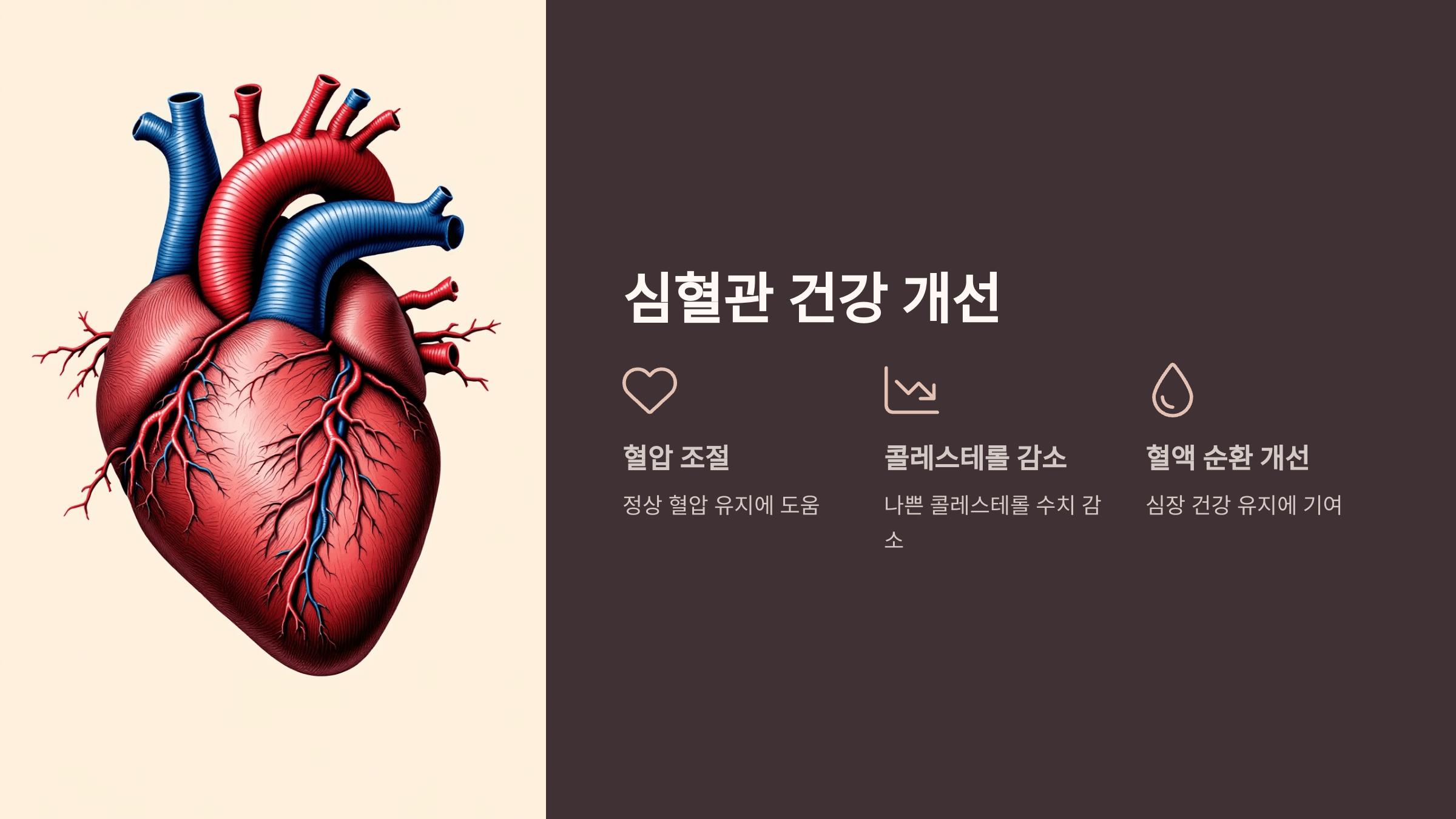 상황버섯 사진입니다.