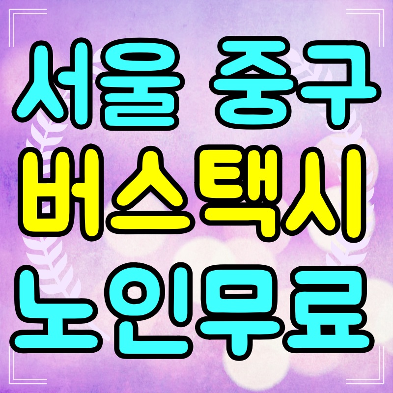 서울-노인-버스-무료