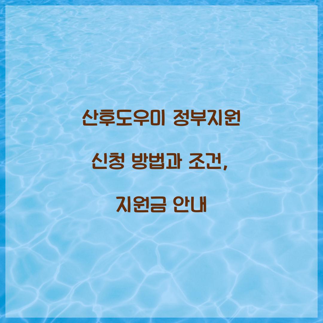 산후도우미 정부지원