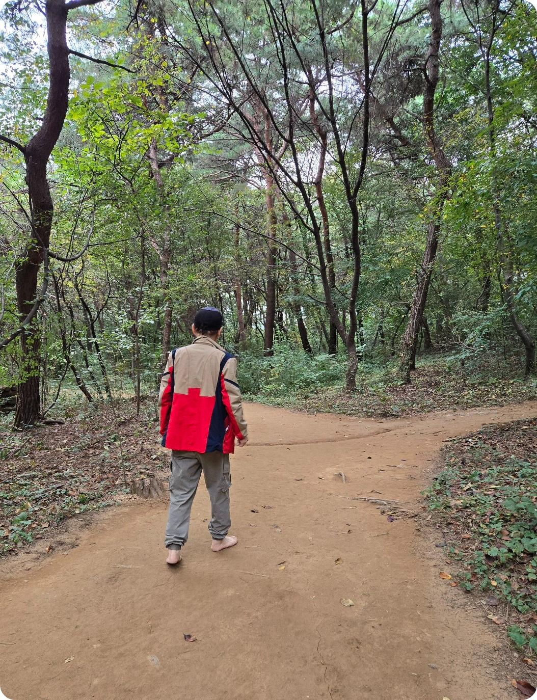 100세 건강 맨발걷기