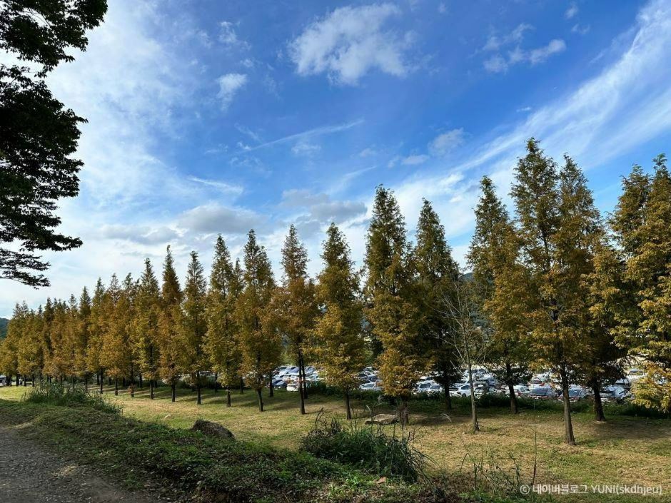 칠곡 가볼만한곳 베스트10