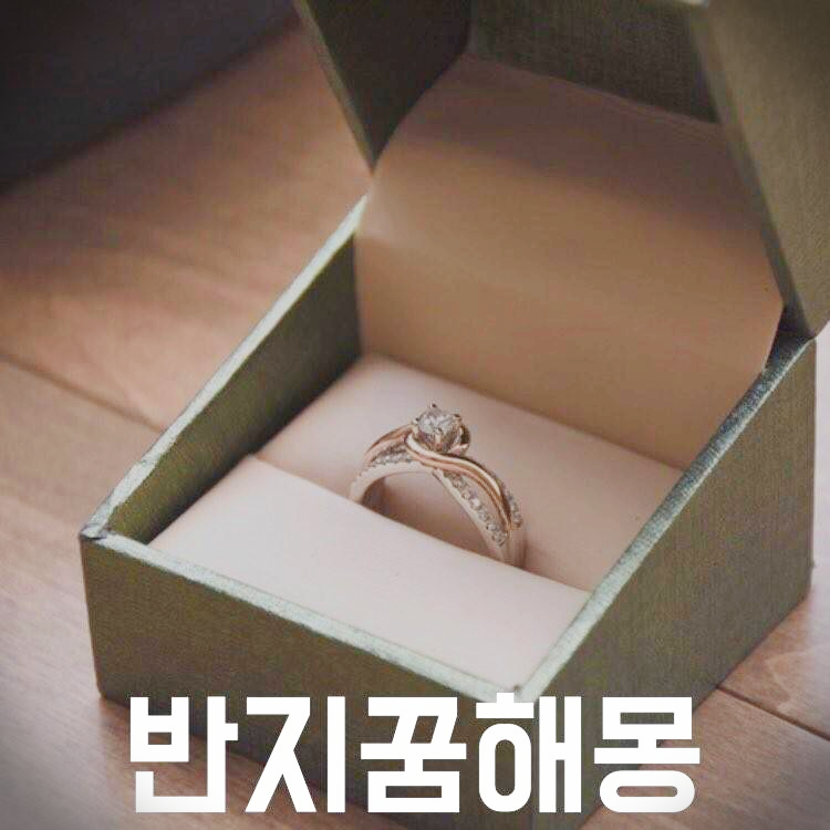 반지 꿈