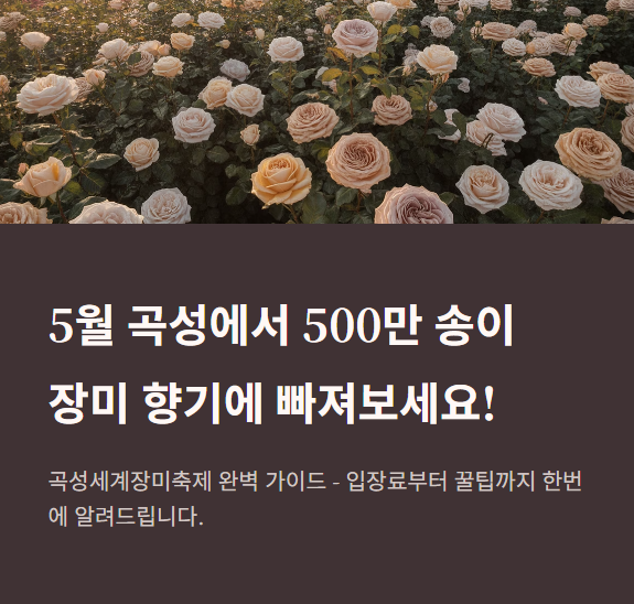 입장료, 주차장, 포토존, 꿀팁까지