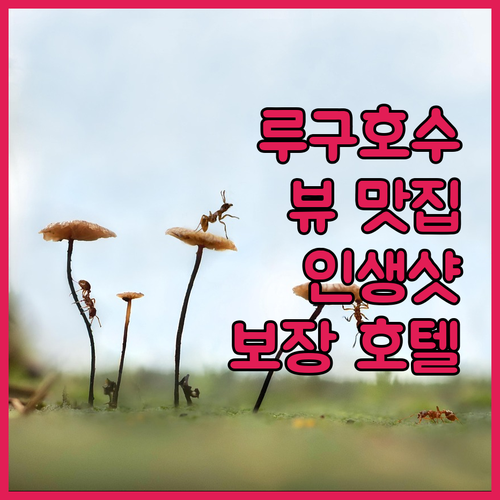 루구호수 뷰 맛집 호텔! 인생샷 보장..