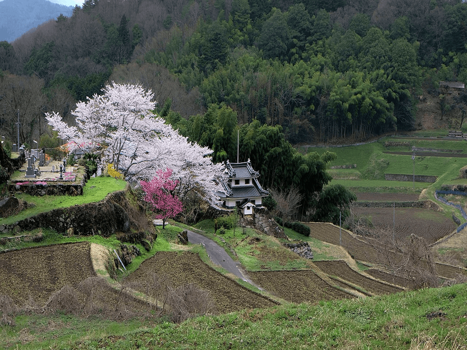 비사업용 토지 세금 