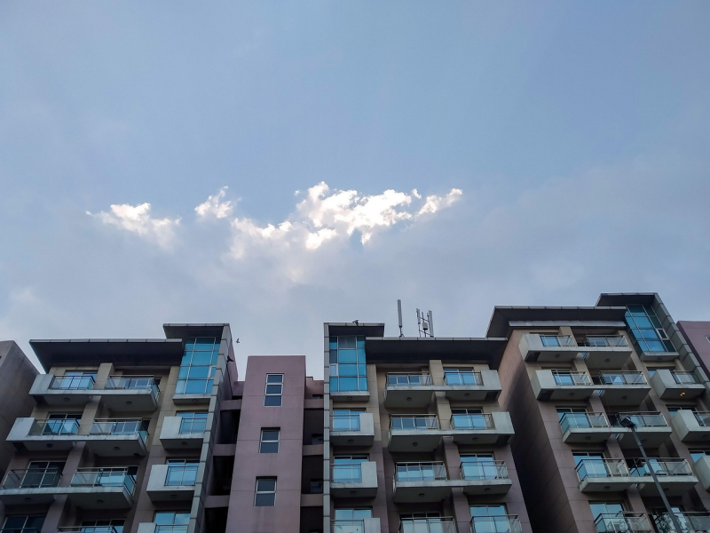 2025년 8월 공모주 청약 대전! 놓치면 후회할 종목은?