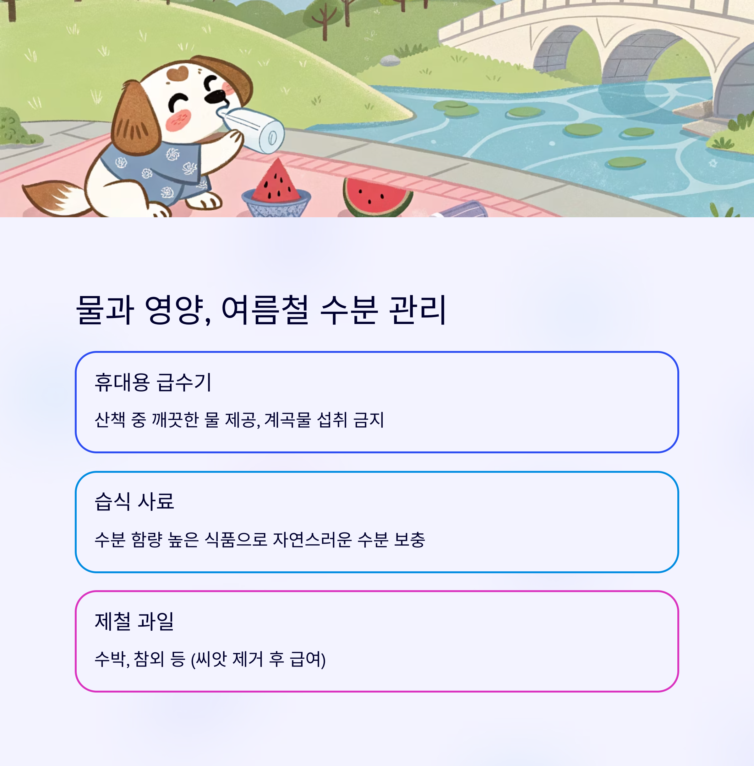 물과 영양, 여름철 수분 관리