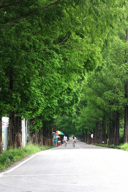 겨울 산책 명소 담양 메타길 이미지