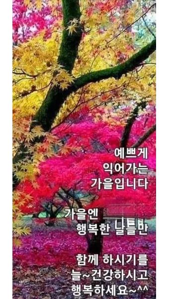가을 인사말 문구 모음 정리_6