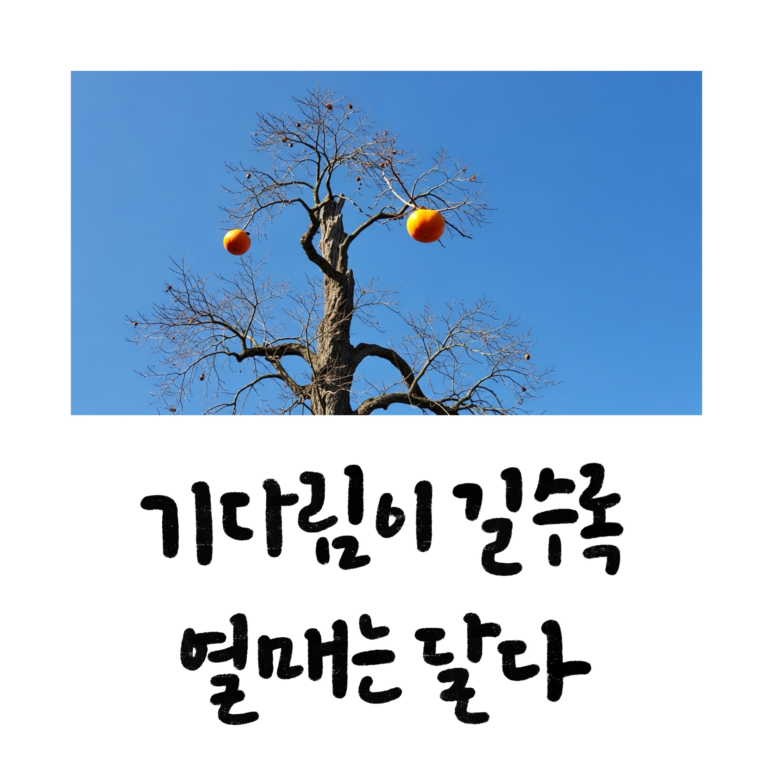 가을 감성 담은 캘리그라피 문구 50