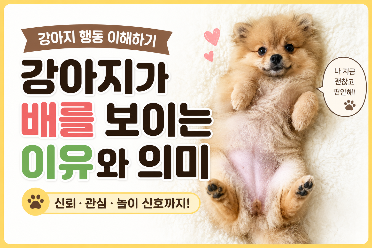 강아지가 배를 보이는 이유