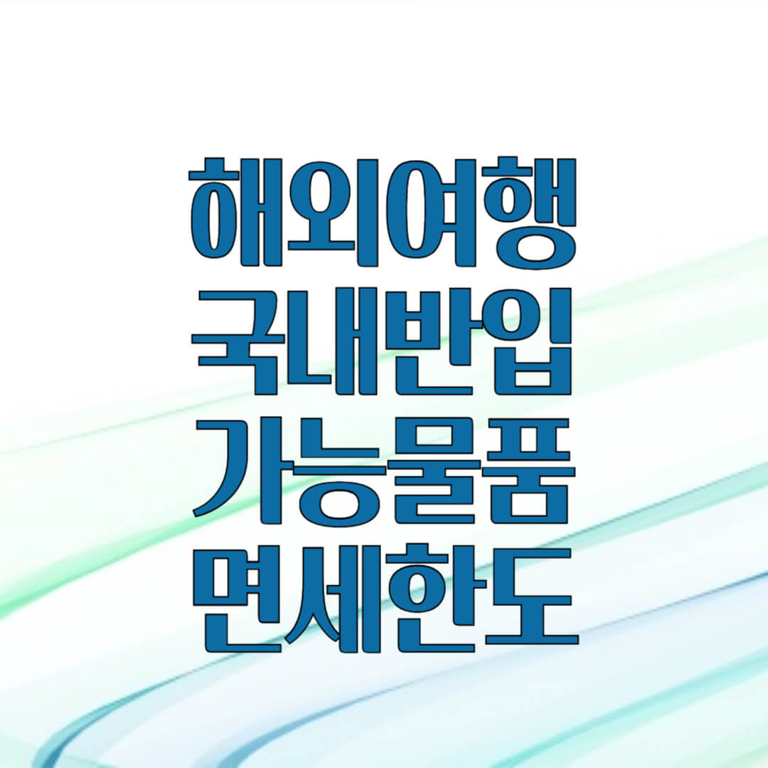 해외여행시 국내 반입 가능 물품 확인하기