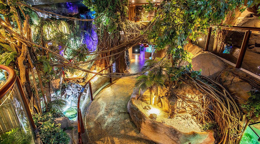 [당일치기] 코엑스 아쿠아리움 놀거리&amp;주차&amp;이벤트&amp;할인혜택