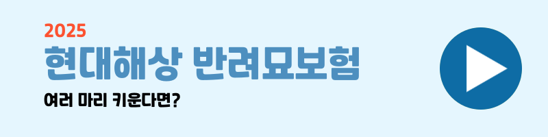 반려묘 보험 비교 설명 이미지