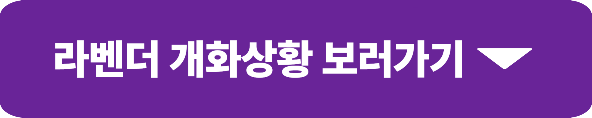 고창청농원 라벤더 축제