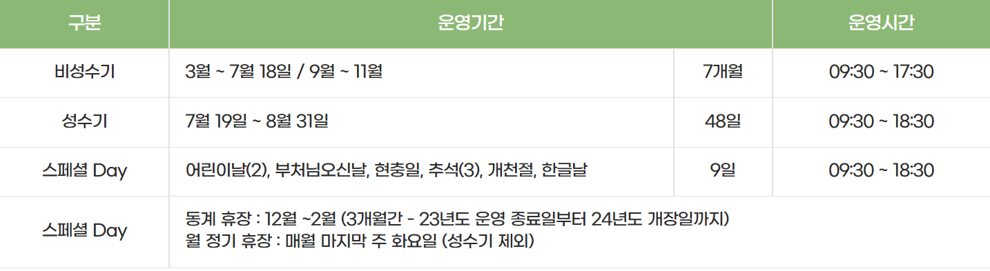 횡성 루지체험장