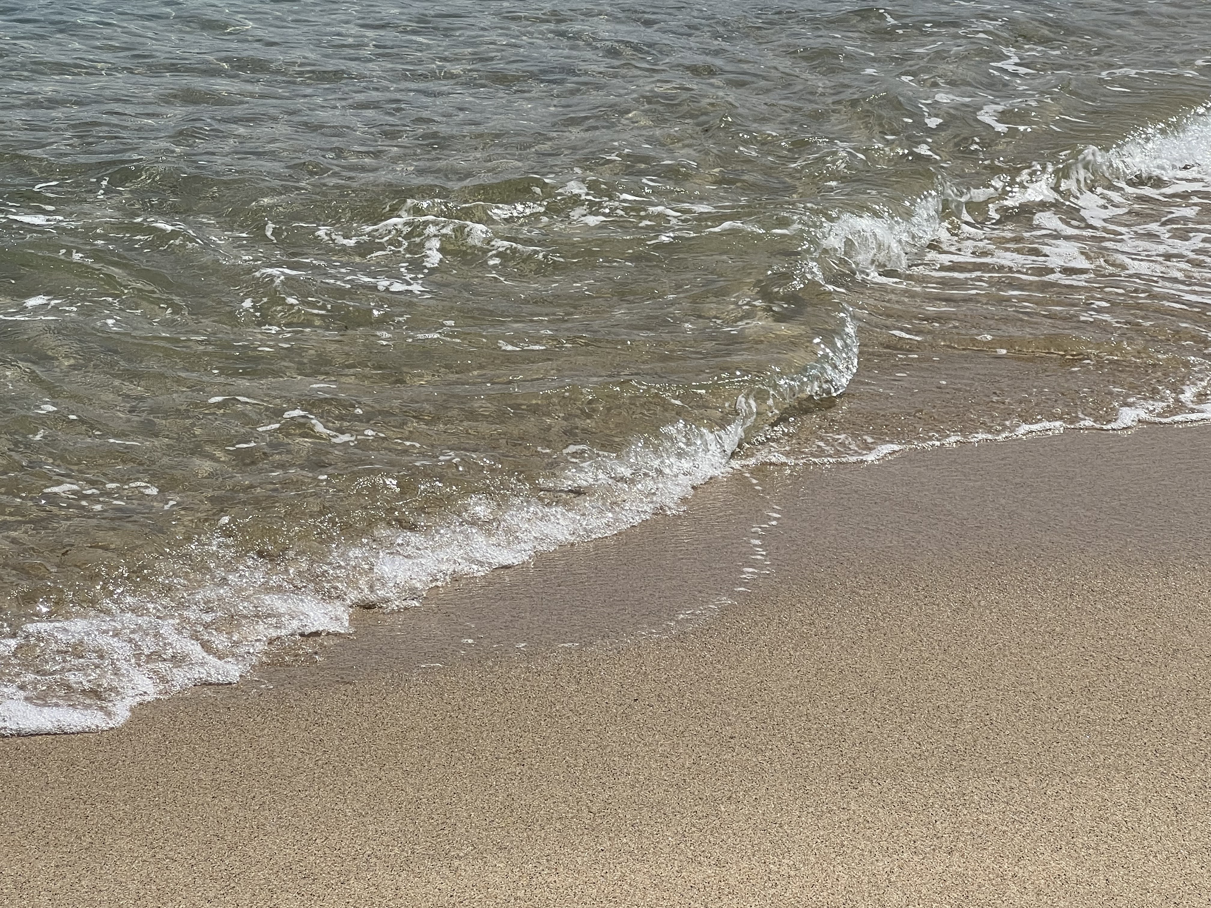 강릉-씨마크호텔-산책-바다