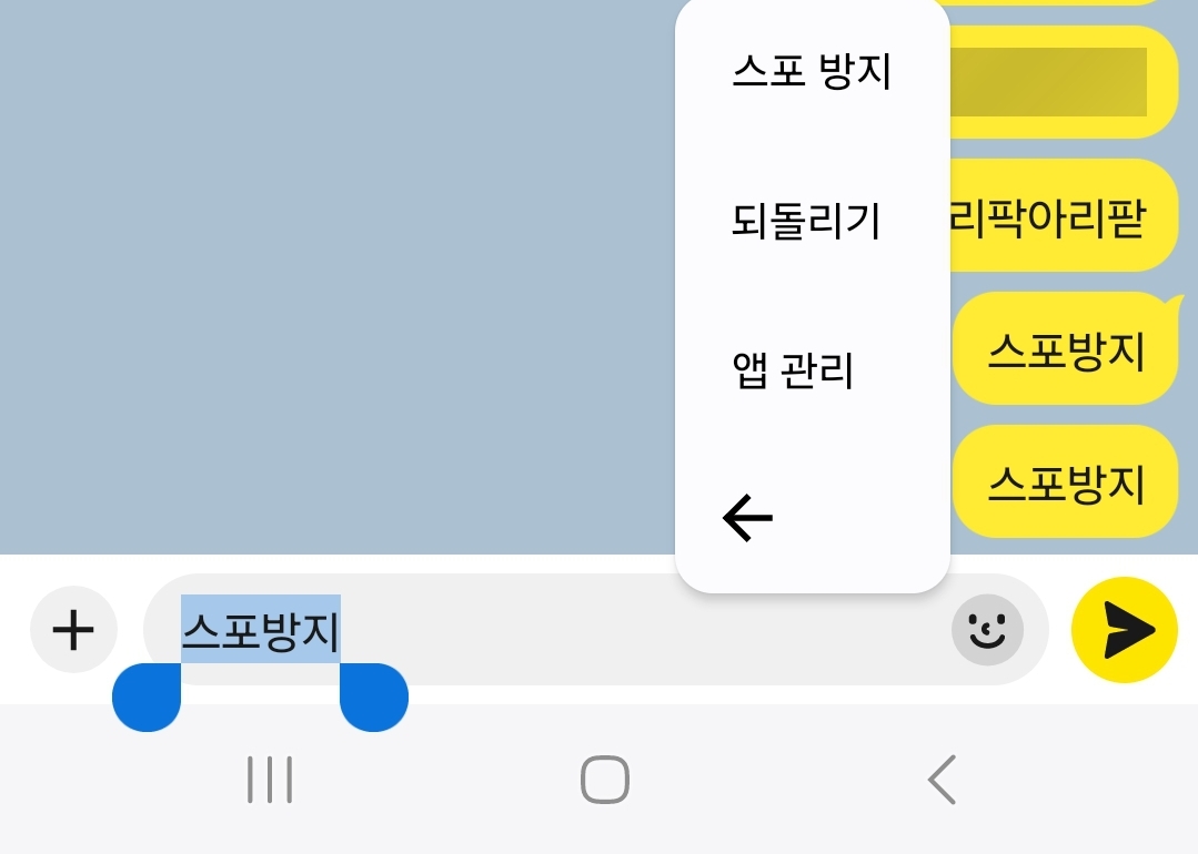 카톡 스포방지 입력화면