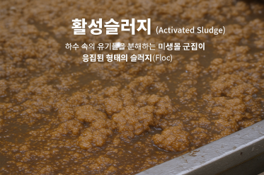 활성슬러지