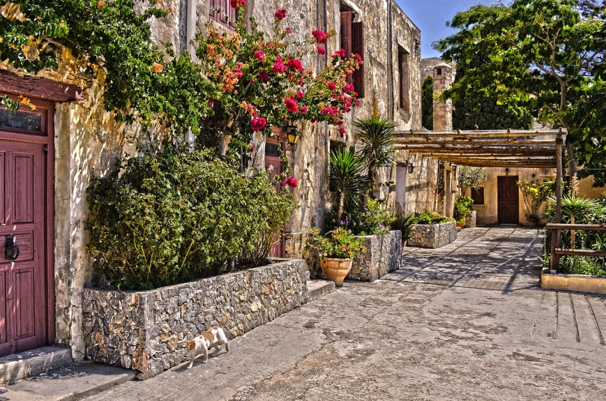 그리스 크레타섬의 전통적인 돌담 건물과 분홍색 부겐빌레아 꽃이 어우러진 평화로운 골목길 풍경. 길 위를 걷고 있는 고양이와 따사로운 햇살이 비치는 지중해 마을 전경.