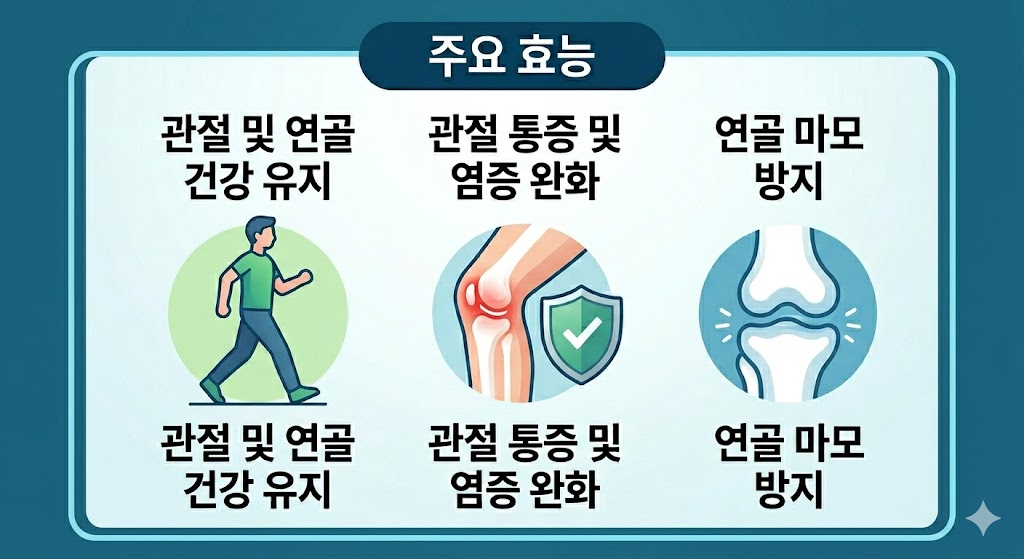 무릎 관절 연골 재생을 돕고 통증을 완화하여 보행 능력을 개선하는 연골의 핵심 성분 콘드로이친