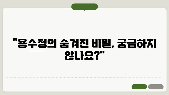 용감무쌍 용수정 등장인물 출연진 인물관계 다시보기 재방송 보기