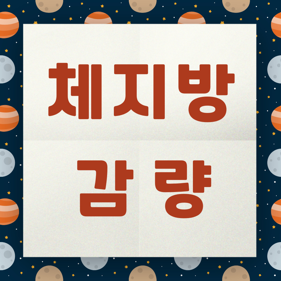 체지방 감량