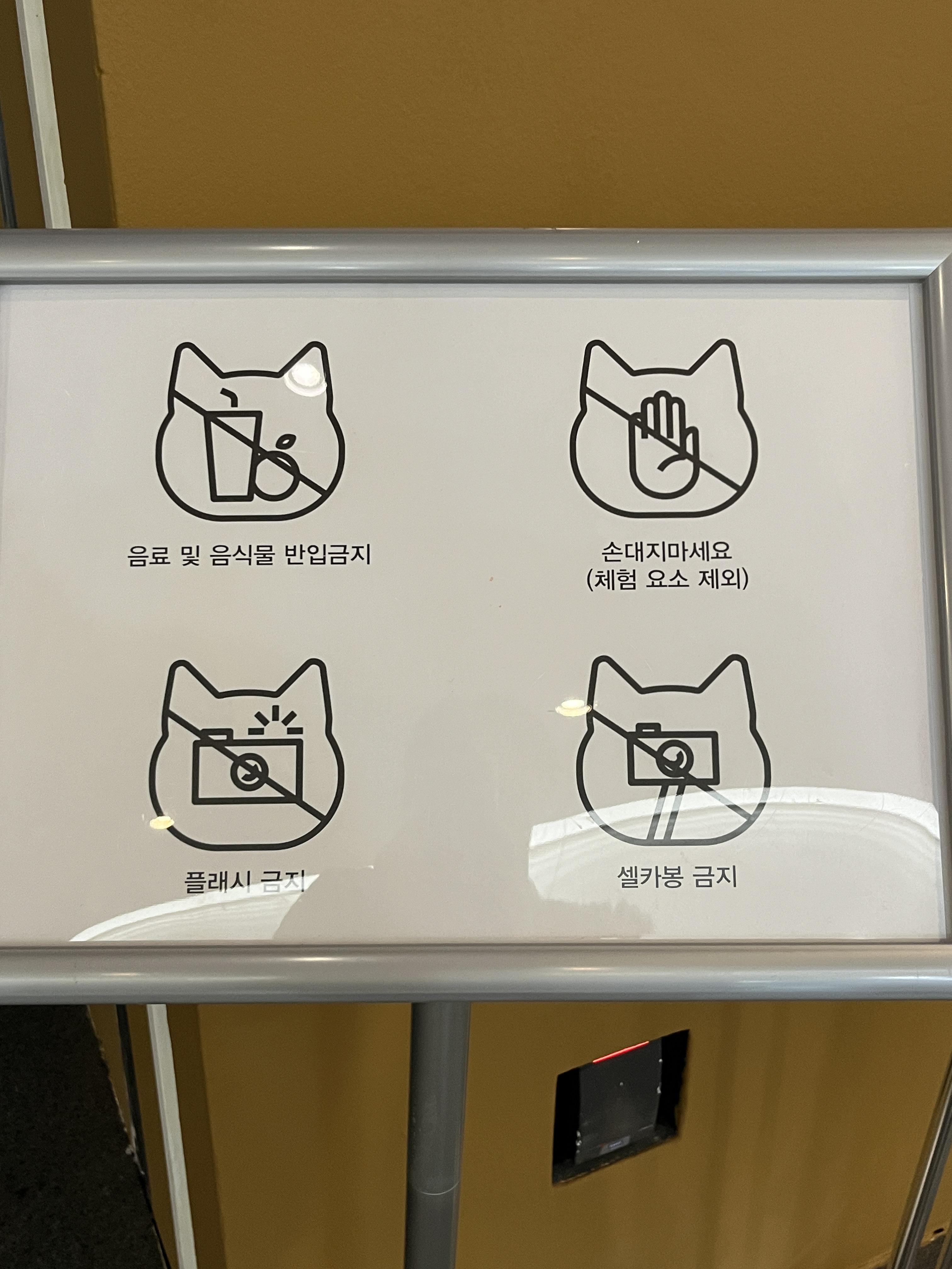 요물 우리를 홀린 고양이