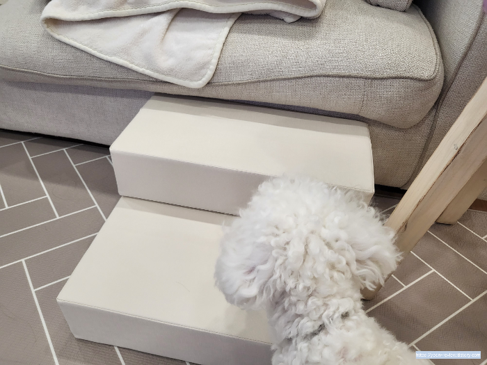 강아지슬개골계단