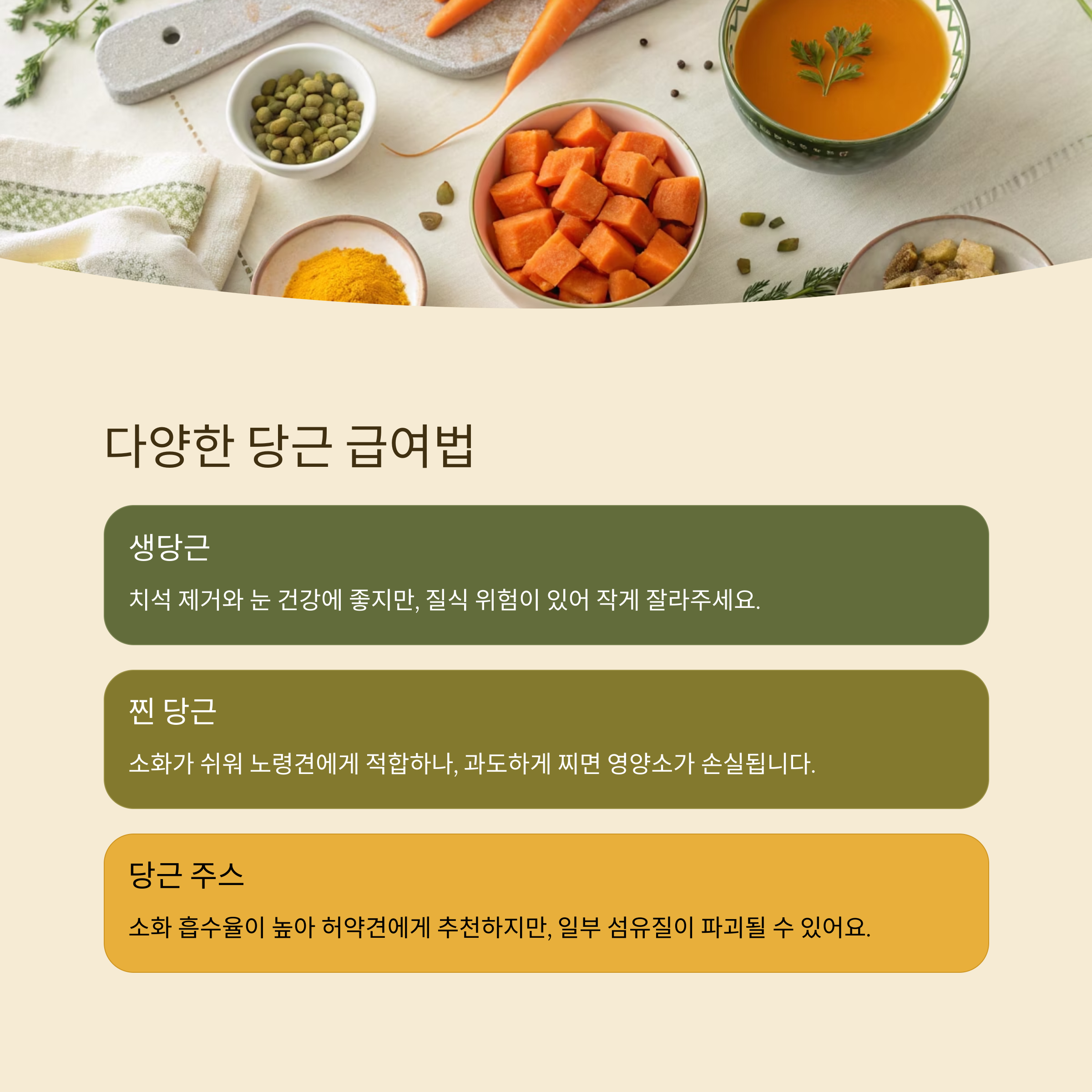 다양한 당근 급여법