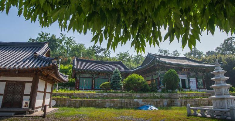 [경기둘레길 평택 46코스 경기갯길] 원효대사의 깨달음을 따라가는 역사 산책로