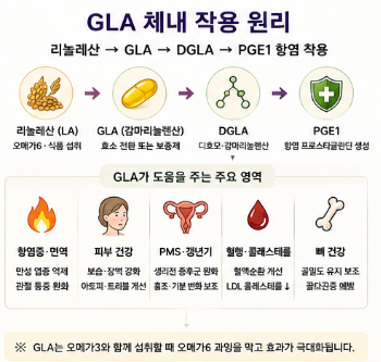 감마리놀렌산-효능-부작용-갱년기-추천-제품