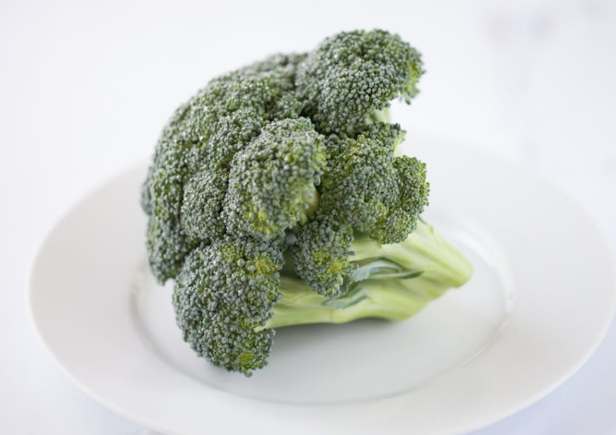 2025 다이어트 식단 추천&amp;#44; 진짜 효과 본 식단 모음!