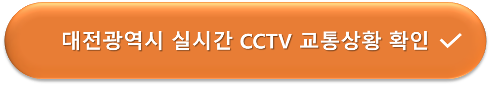 대전광역시 실시간 CCTV 교통정보