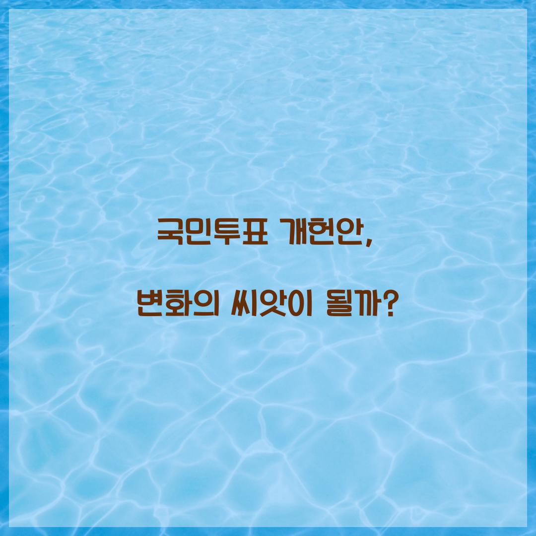 국민투표 개헌안