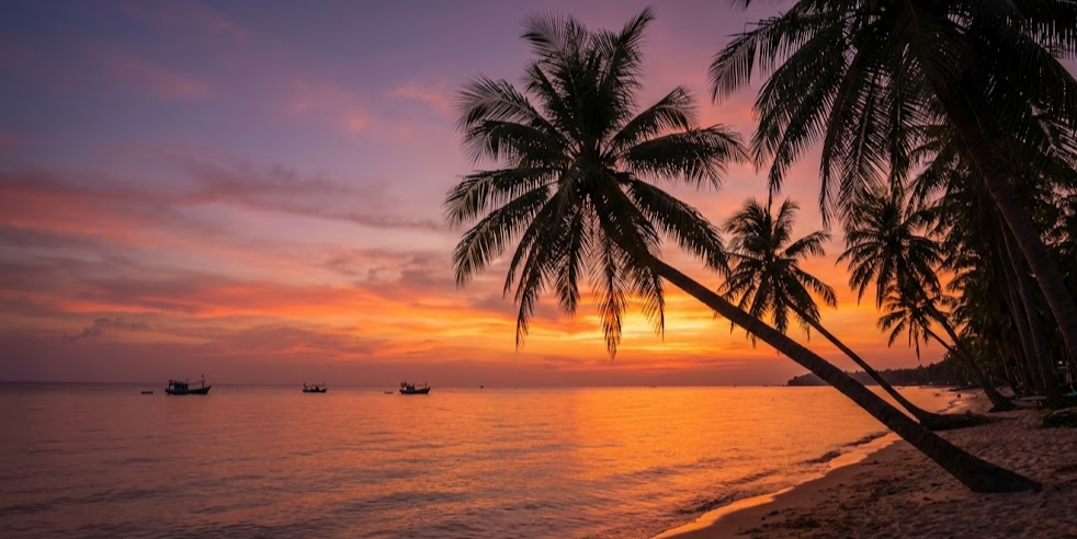 푸꾸옥 롱비치의 고요한 선셋과 야자수 실루엣