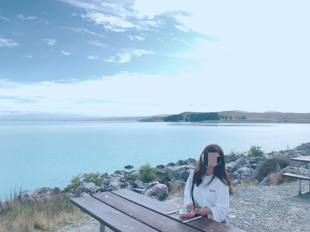 뉴질랜드 푸카키