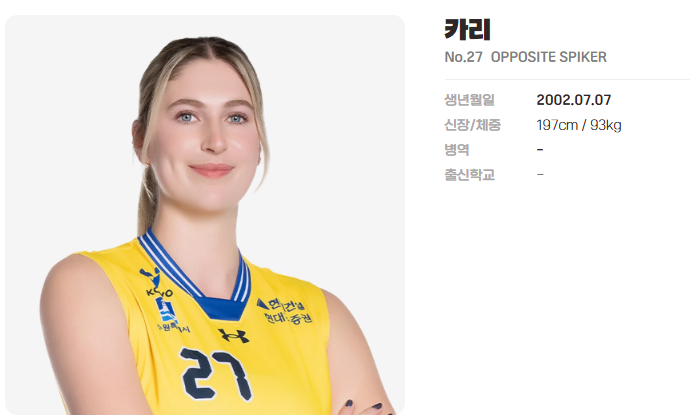현대건설 카리