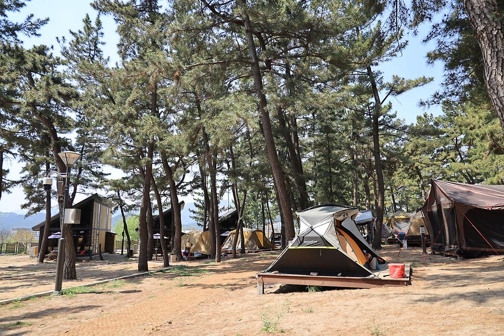 강원도 삼척 맹방비치캠핑장 소개