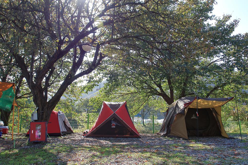 충북 진천 아빠캠핑가 오토캠핑장