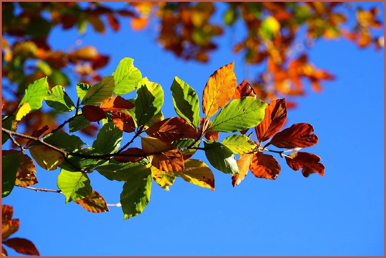 정기예금 금리비교