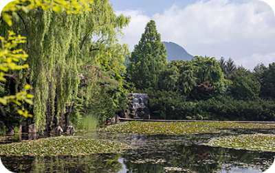 벽초지수목원 가을국화축제 정원안내 OUR STORY현재 이미지/ 출처: 벽초지수목원 홈페이지 