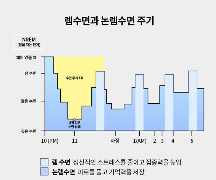 😴잠을 자도 피곤한 이유 (수면 생리학)