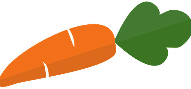 강아지 건강에 좋은 당근